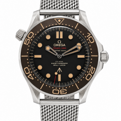 OMEGA SEAMASTER DIVER 300 M 007 210.90.42.20.01.001